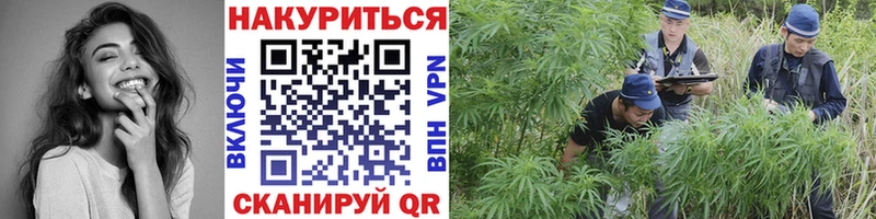 мега ONION  Оса  МАРИХУАНА Bruce Banner 